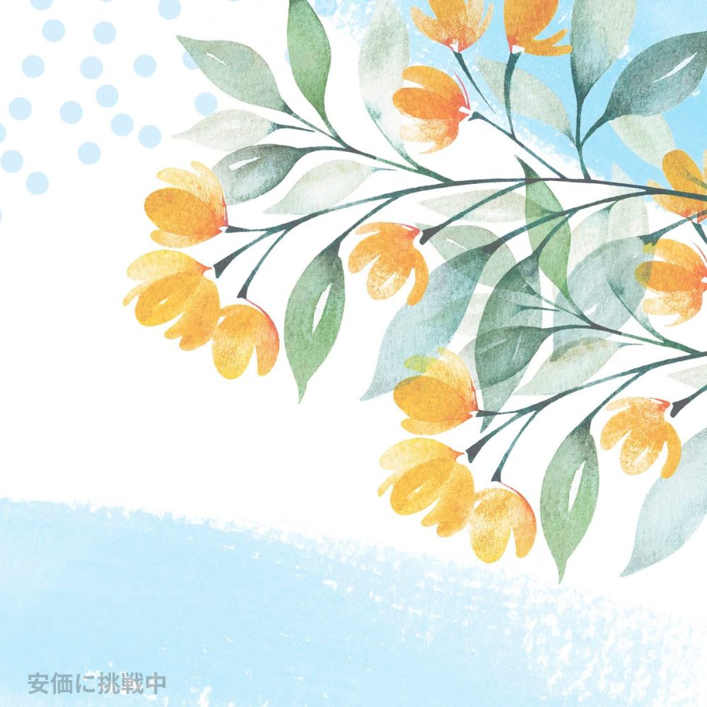 3�ĥ��å� ��������å� ����ӥ��֥륽��å� ���ץ�󥰥֥꡼�� �ǥ��ɥ��� 2.6oz / Secret Invisible Solid Spring Breeze 73g