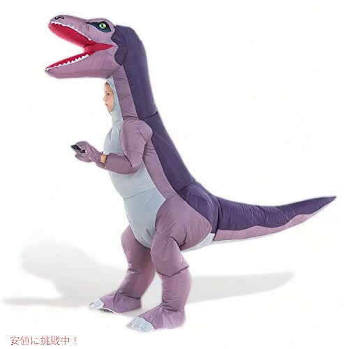 HSCTEK���㥤��ɥ���ե졼���֥붲ε�������塼��ܡ����������륺