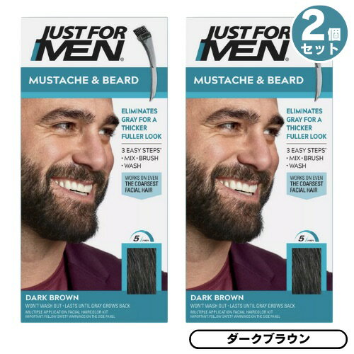 2個セット JUST FOR MEN ジャストフォーメン ヒゲ用 カラー剤 グレイヘア用 [M-45 ダークブラウン] Mustache ＆ Beard Color Gel