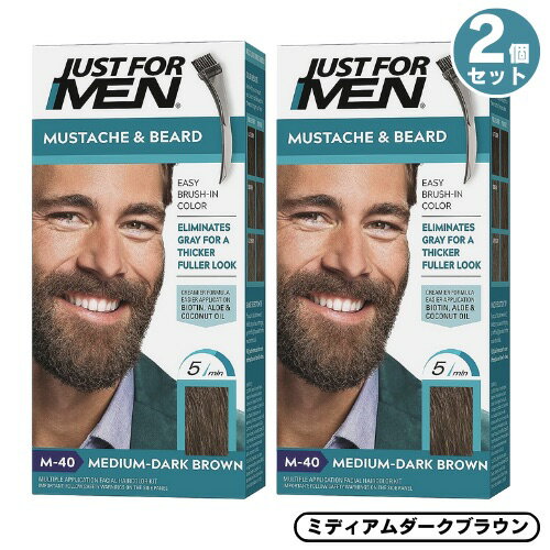 2Zbg JUST FOR MEN WXgtH[ qQp J[ OCwAp [M-40 ~fBA_[NuE] Mustache & Beard Color Gel