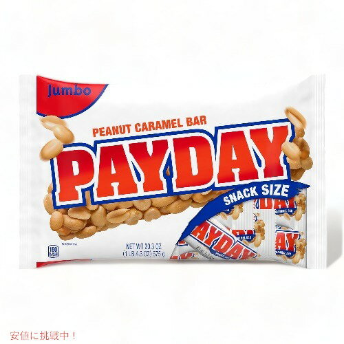 Payday ペイデイ ピーナッツキャラメルバー スナックサイズ 575g Peanut Caramel Snack Size Candy, Jumbo Bag 20.3oz 1