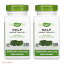 2ĥåȡNature's Way Kelp 600 mg 180 Count / ͥ㡼  600mg 180ץ x 2