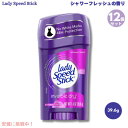 【送料無料・12個セット】Lady Speed Stick スティックデオドラント インビジブルドライ シャワーフレッシュの香り 39.6g(1.4oz) レデ...