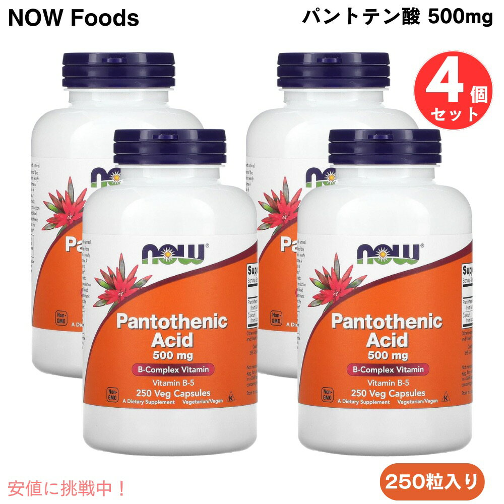 4ĥå NOW Foods Pantothenic Acid 500 mg 250 Caps #0488 ʥա ѥȥƥʥӥ...
