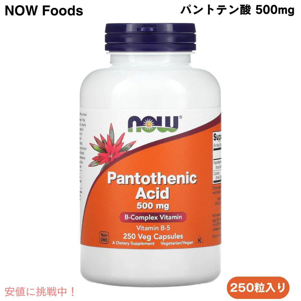 NOW Foods Pantothenic Acid 500 mg 250 Caps #0488 ʥա ѥȥƥʥӥߥB5 ...