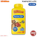 L'il Critters リルクリッターズ 子供用 マルチビタミン グミ 300個入り Gummy Vites Multivitamin 300 ct(4)