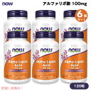 【6個セット】ナウフーズ NOW Foods アルファリポ酸 100mg 120粒 ベジカプセル #3041 ビタミンC & ビタミンE配合 Alpha Lipoic Acid 100 mg Veg Capsules