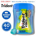 Trident Vibes サワーパッチキッズ ブルーラズベリー 40個入り SOUR PATCH KIDS Blue Raspberry 40pcs