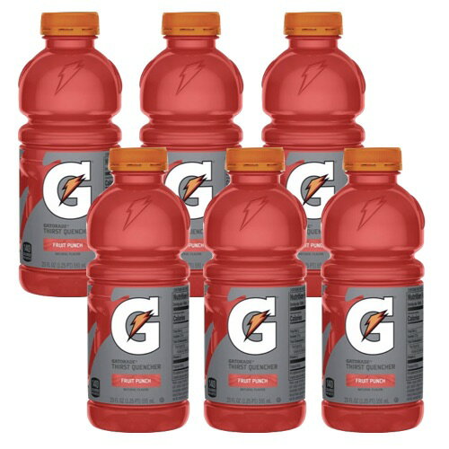 【お得な6本】Gatorade Fruit Punch Sports Drink -20 fl oz Bottles / ゲータレード スポーツドリンク フルーツパンチ味 591ml