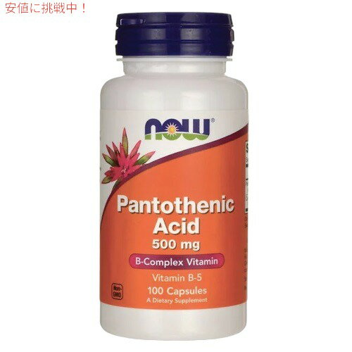 NOW　Pantothenic Acid 500 mg 100 Caps #0486　ナウ　パントテン酸（ビタミンB5） 500mg