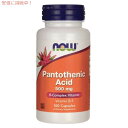 NOW　Pantothenic Acid 500 mg 100 Caps #0486　ナウ　パントテン酸（ビタミンB5） 500mg