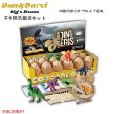 Dan&Darci 恐竜のたまご発掘キット 恐竜のたまご12個入り 恐竜のおもちゃ サイエンス・STEM体験 Dig a Dozen Dino Egg Kit for Kids