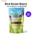 インコ, オウム,オカメインコの餌 Bird Street Bistro バードストリートビストロ Rising Phoenix オウム茶 3oz