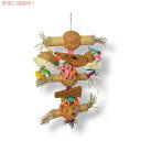 鳥のおもちゃ フィジカル&メンタル ボーダシャス バイツ Physical & Mental Bodacious Bites Bamboo Shoots [62...
