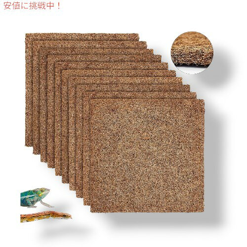 【10枚】ZeeDix ジーディックス 爬虫類カーペット Reptile Carpet 12x12 inches [天然ココナッツファイバー ペットマット カメカーペット]