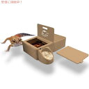 Geckopia QbR[sA gv ঒ރfBbV 3in1 Reptile Dish [{E, ঒ރ{EAEH[^[t[h{E]