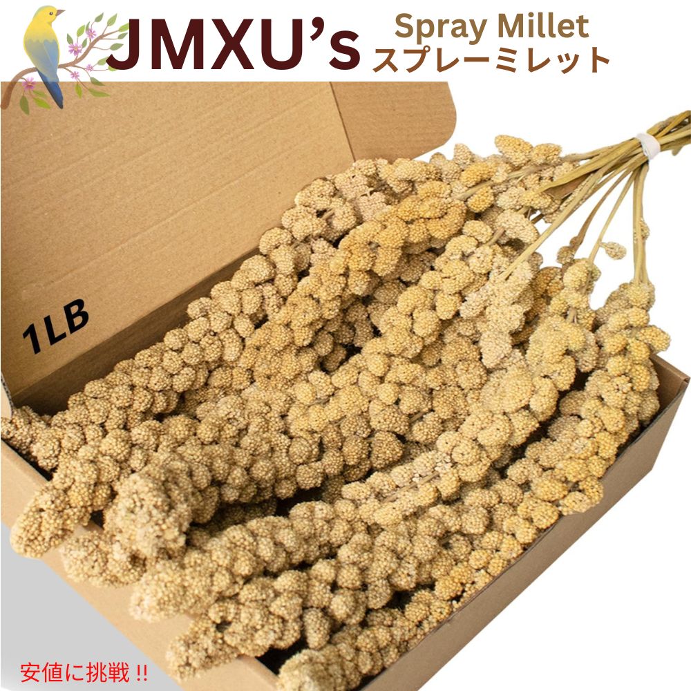 JMXUs 鳥用 粟穂 454g スプレーミレット 天日乾燥 小動物 ハムスター 鳥 餌 おやつ Spray Millet Treat for Birds 16oz