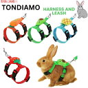 ߉\ pn[lX[hZbg fR[Vt [^ybgp] Adjustable Bunny Rabbit Harness and Leash Tondiamo