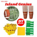 Island Genius アイランド ジーニアス フットボールをテーマにしたパーティー用品と装飾 Football Themed Party Supplies and Decorations 97個