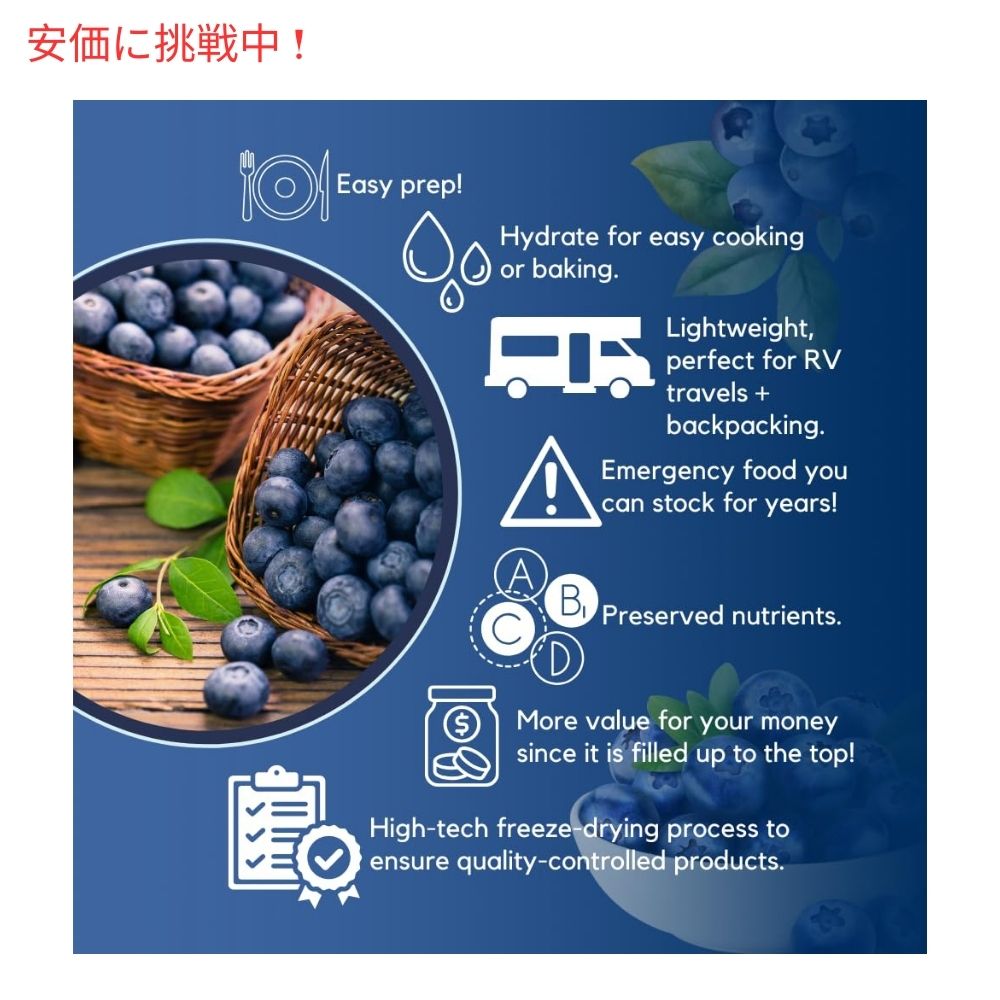 ��ǥ��ϡ��������� �ե꡼���ɥ饤 �֥롼�٥꡼ 520g #10 ����֥롼�٥꡼ �ɥ饤�ե롼�� Ready Harvest Freeze-dried Blueberries