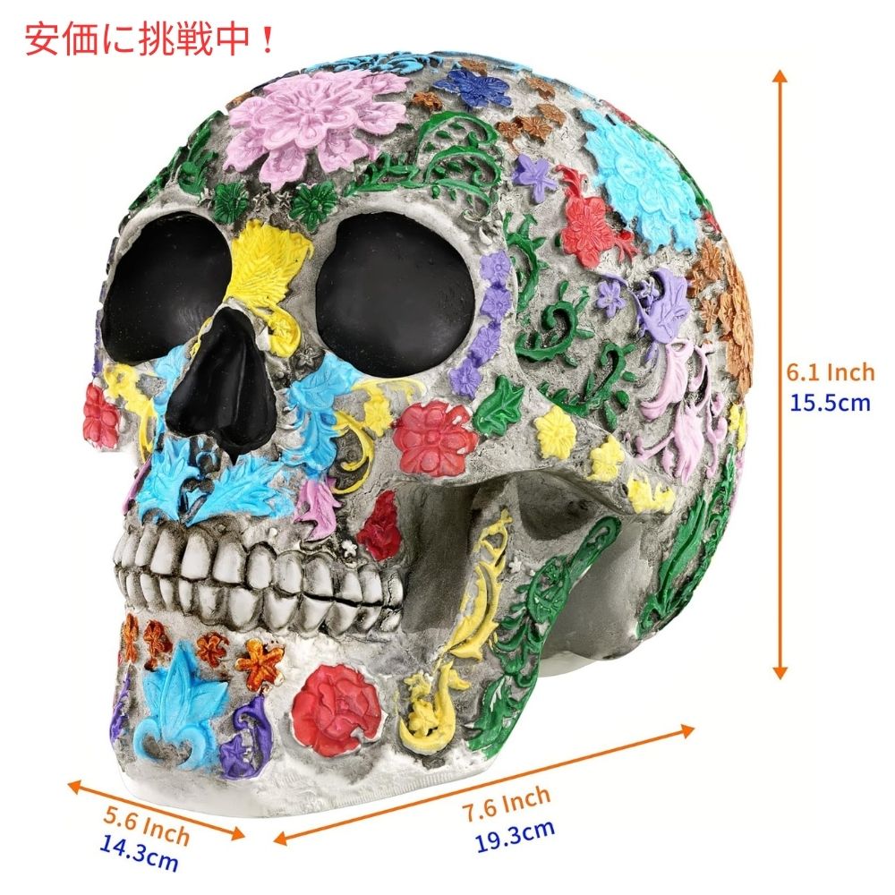 READAEER 実物サイズの頭蓋骨レジン 人間の頭蓋骨模型 大人用ヘッドボーン模型 デイ オブ ザ デッドの装飾 Colorful Life Size Skull Resin