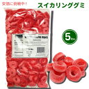 ウォーターメロン(スイカ)リンググミ グミキャンディー5lb