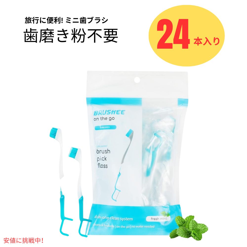 Brushee ֥å ߥ˻֥饷 3Ĥ䡡ȤΤ ι ֥饷 24 3-in-1 Tool (Pre-Pasted...