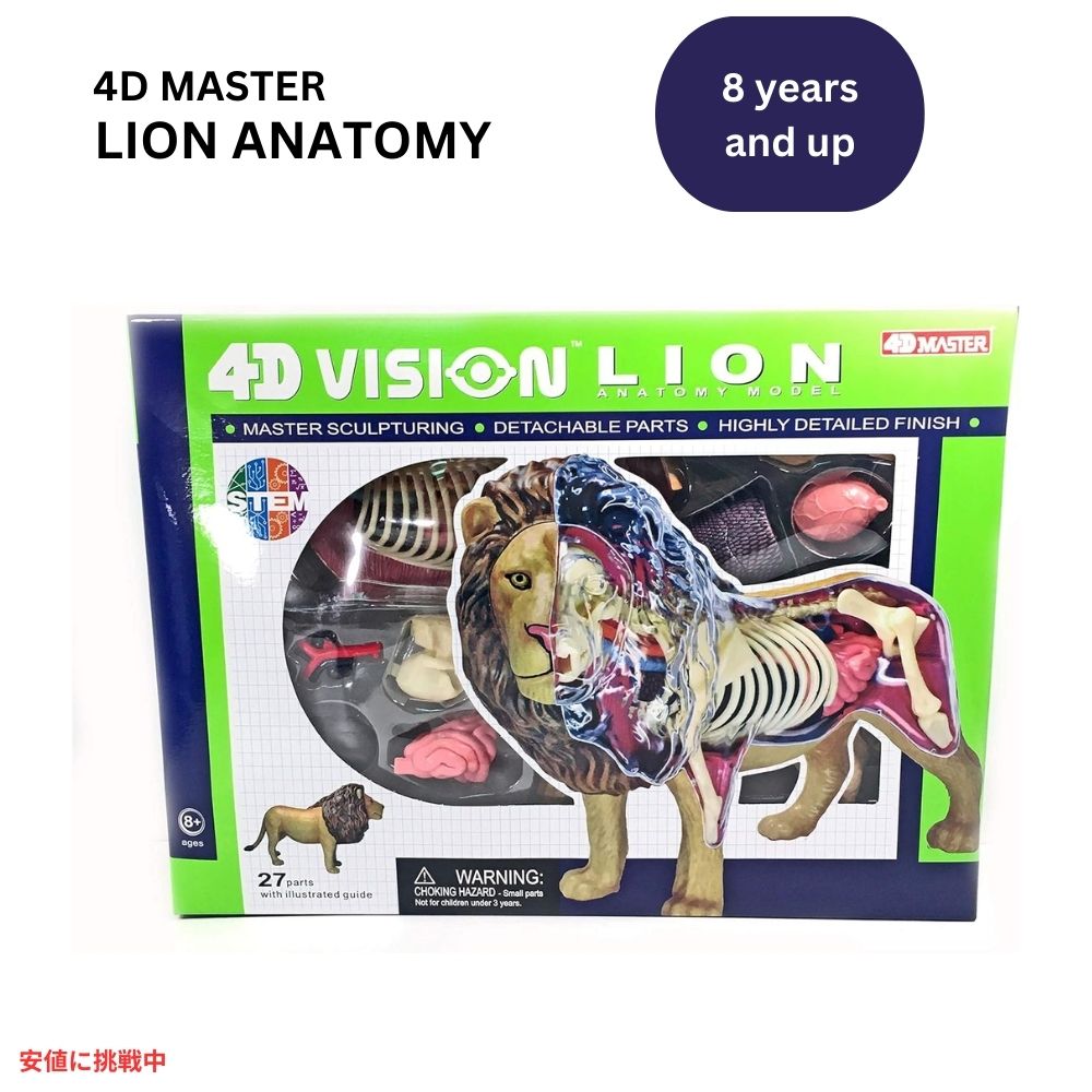 楽天市場】4d vision 動物解剖 猫の通販 楽天市場】4d vision 動物解剖 猫の通販