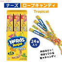 ナーズ ロープキャンディ [トロピカル] 24個 ロープグミ Nerds Rope Candy Tropical まとめ買い 個包装 ばらまき 大容量 カラフルお菓子
