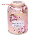 New English Teas ヴィンテージフローラルティー缶 イングリッシュブレックファスト ティーバッグ 240個入り (ピーチ) Vintage Floral Tea