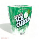 Ice Breakers Ice Cubes Spearmint Sugar Free Gum 40ct ACXuCJ[Y ACXL[u XyA~g VK[t[K 40