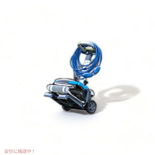 Dolphin �ɥ�ե��� �Ρ����饹 CC Plus ���ܥåȥס��륯�꡼�ʡ� ��˥С����륭��ǥ��դ� �ס��륯�꡼�˥�
