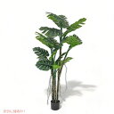 Phimos 6フィート 人工亀 ヤシの木 鉢植え フェイク植物