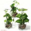 MyGift 人工植物3個セット フェイクテーブルトップグリーン クリアガラスポット付き