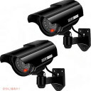 PreZiouz ソーラーパワー フェイクセキュリティカメラ フラッシュライトとCCTVステッカー付き (2パック、ブラック)