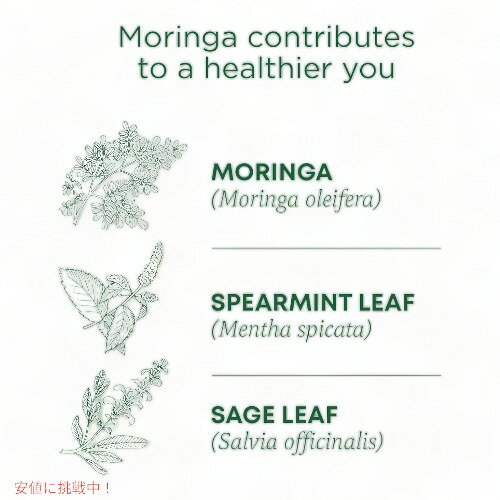 Traditional Medicinals Organic Tea Moringa with Spearmint and Sage|�ȥ�ǥ�����ʥ��ǥ����ʥ� ���� 16�� 24g [6Ȣ���å�]