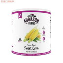 Augason Farms Freeze Dried Sweet Corn 1 lb No. 10 Can