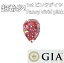 Four Seasons Jewellery㤨֡ GIA ա Ķ Fancy Vivid Pink 1.01ct ŷ ԥ  롼 ڥ ̵פβǤʤ74,800,000ߤˤʤޤ
