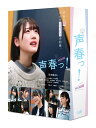 日向坂46/声春っ! DVD-BOX【中古】【012 音楽DVD・BD】【鈴鹿 併売】【012-231128-05SS】