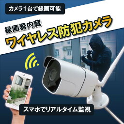 SEC-WTF-1080P 【スマホから簡単アクセス】録画機内蔵ワイヤレス屋外型防犯カメラ双方向通話もできる優れもの