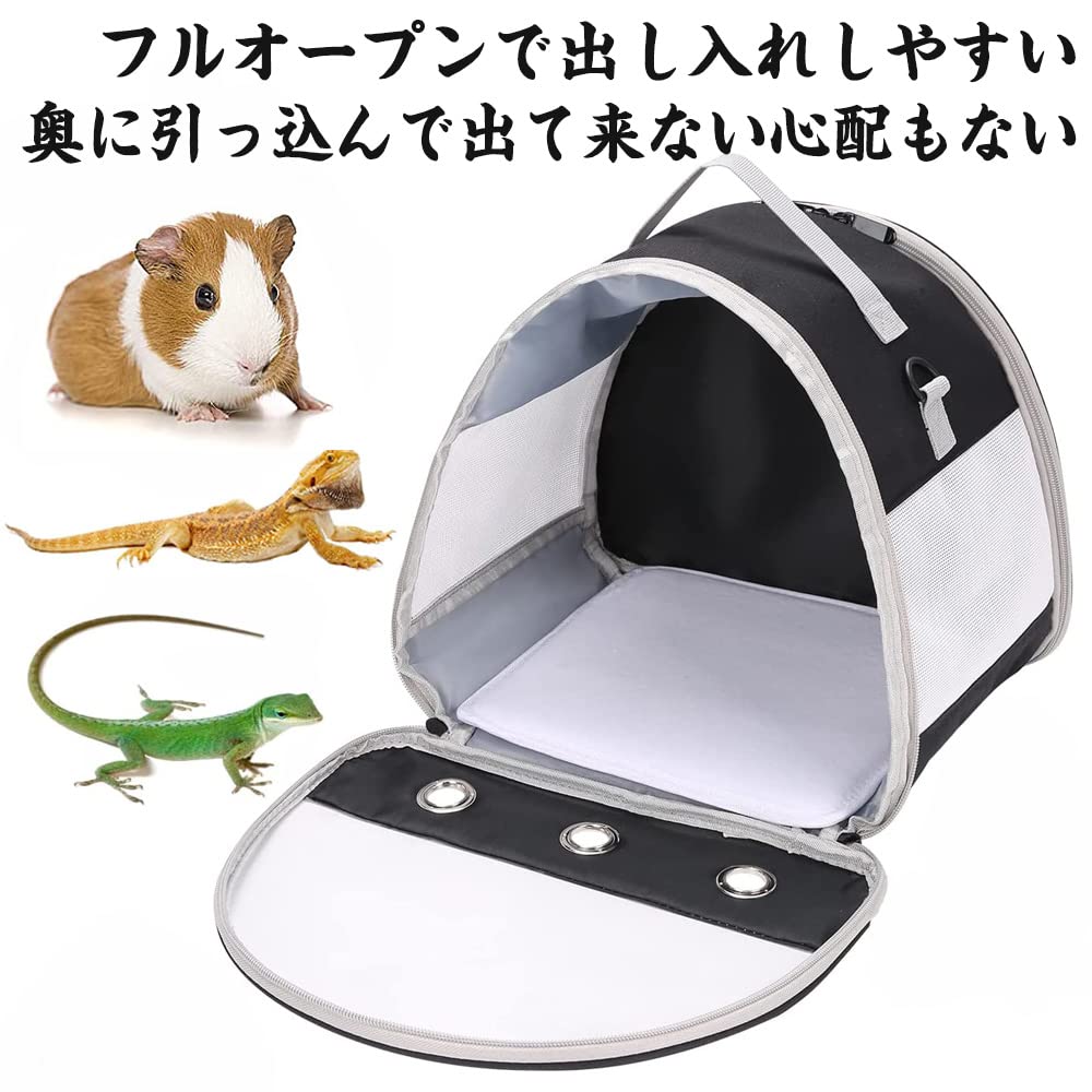 �ϥॹ���� ������ �ϥॹ��������꡼ ����꡼�Хå� ������ ����å� �ϥ�ͥ��� ����꡼ ���� �ޤꤿ���� ���������Хå� ���� ���� ����� ���ӽФ��ɻ� �ֺ� ���� ���ݤ� ���Ф��� ��ưʪ ���� �ɺ� �̱� �±� �������� ��ư ι�� ���������٥��