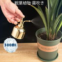 霧吹き スプレー 観葉植物 300ml ボトル ステンレス鋼 園芸用霧吹き ステンレス インテリア お洒落 じょうろ 水差し 園芸 掃除 散水 観葉植物 蓄圧式...