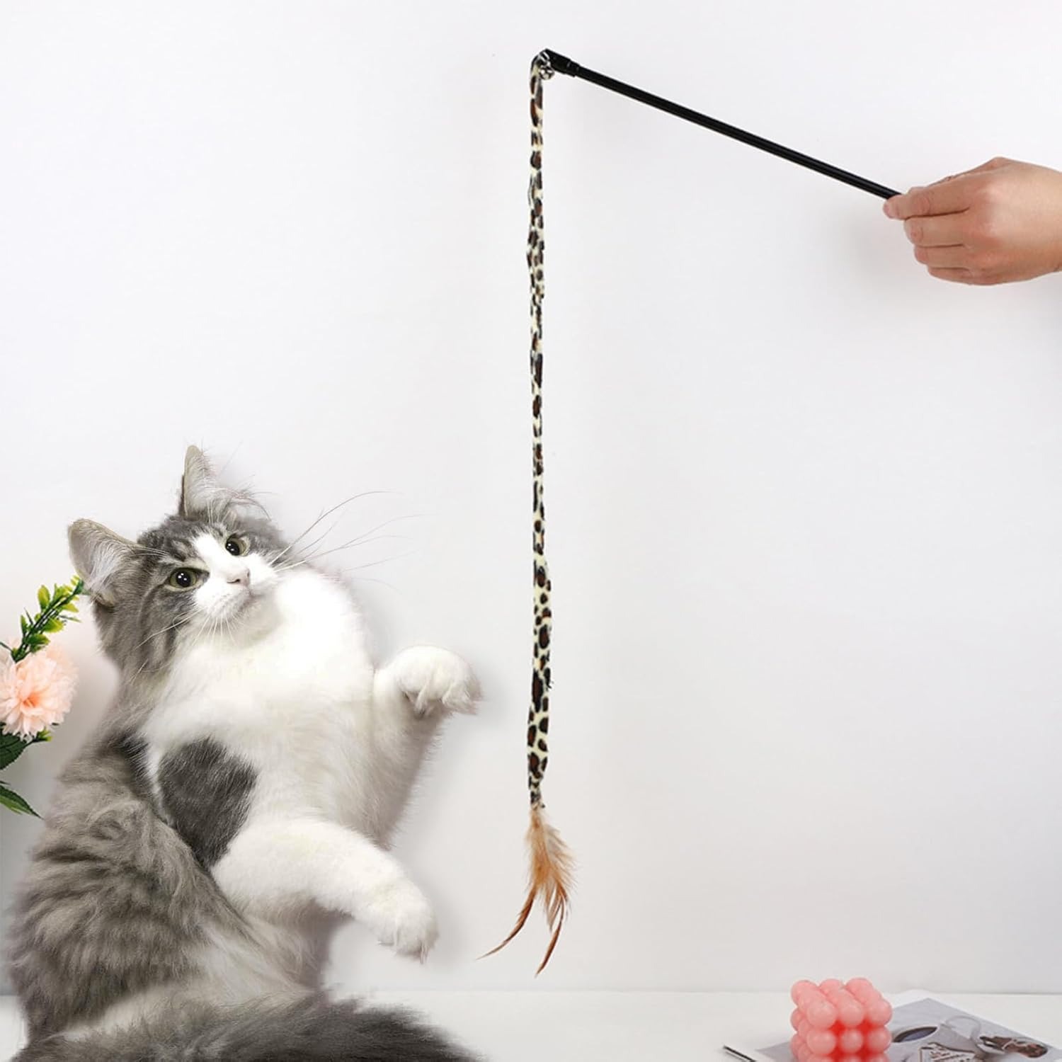 ティーザー 猫 おもちゃ インタラクティブ 猫 おもちゃ - インタラクティブ ペット...