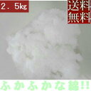 【送料無料】【返品不可】手芸わた約250g×10セット【合計約2.5キロ】がお買い得!!ポリエステル綿【日本製】【圧縮してません】肉厚、新しくてふかふかな綿!!...