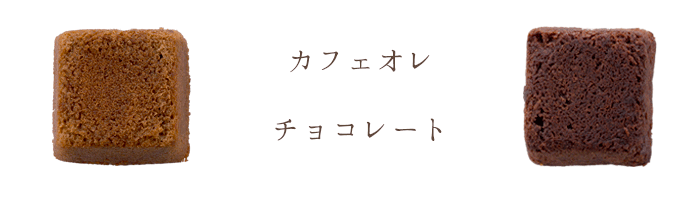 モンキューブ10個入