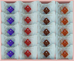 【送料無料】モンキューブ20個入