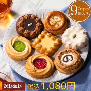 再販★7種9個入 送料無料 クッキー 訳あり お試し 税別 1000円ポッキリ ロシアケーキ 　チョコ 子供 お菓子 焼き菓子 菓子 詰め合わせ スイーツ 洋菓子 和菓子 個包装 かわいい 女性 ロシアン 内祝い お礼 お祝い 誕生日 お返し 東京 おしゃれ 挨拶 贈り物 人気 日持ち