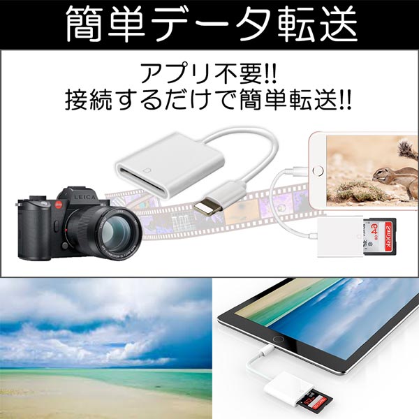 Lightning to SDカード TFカード カードリーダー 外付け 外部記憶 写真保存 iPhone iPad iOS9.2以上 最大 256GB 対応 Lightningケーブル カメラ 送料無料 UNI