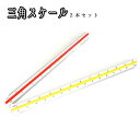 三角 スケール 定規 サンスケ 30cm 大きい 2本セット 1/20 1/25 1/50 1/75 1/100 1/200 1/250 1/300 1/400...