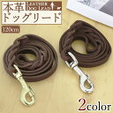 1.2m 120cm 1.2cm 編組 レザー ドッグ リード 犬 散歩 革 本革 牛革 高品質 柔らかい 丈夫 ブルハイドレザー ブラウン シルバー ゴールド 金具 ヒモ 紐 革紐 皮紐 送料無料
